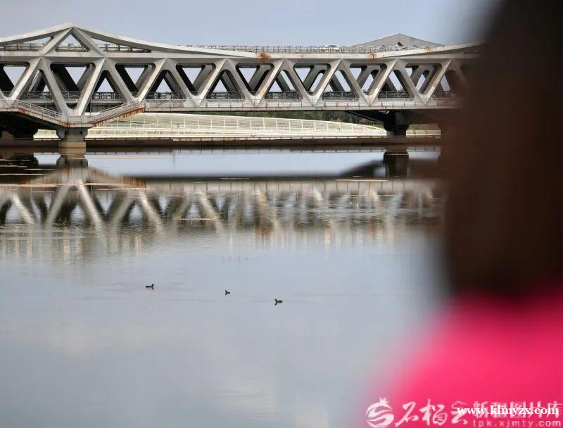 /attachment/editor/20251125/1764047827ajuo2.jpg /attachment/editor/20251125/1764047827ajuo2.jpg