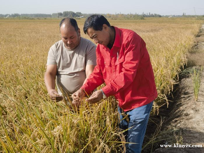 /attachment/editor/20251203/1764732872zyw53.png /attachment/editor/20251203/1764732872zyw53.png