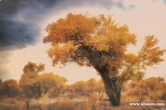 克拉玛依启航教育·塔城地区高三全日制/复读班招生简章